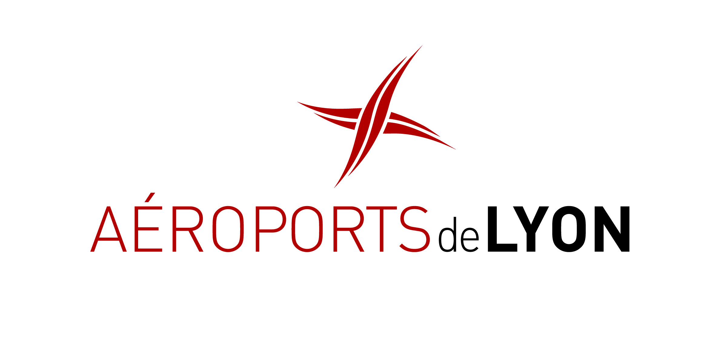 Lyon Airport logo